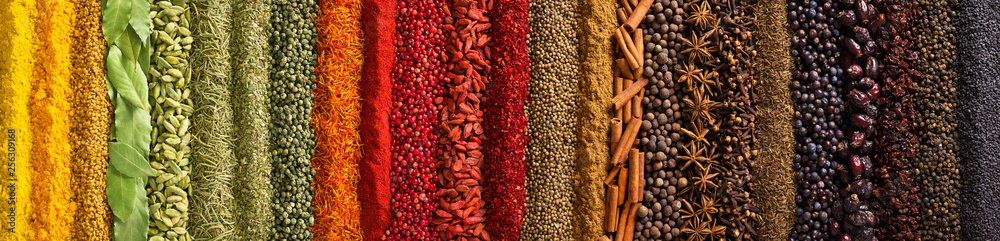 Panorama spices and herbs for food labels. Seasonings and flavors background - obrazy, fototapety, plakaty 