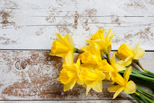 Bunch Of Yellow Daffodils On White, Wooden Background