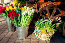 Flower Market. Spring Flowers In Boxes And Buckets Ready For Sale. Tulips In Bucket. Mother's Day Present