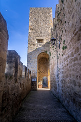 Wall Mural - Frias medieval village with a fortified bridge and castle near Burgos in Castile and Leon Spain