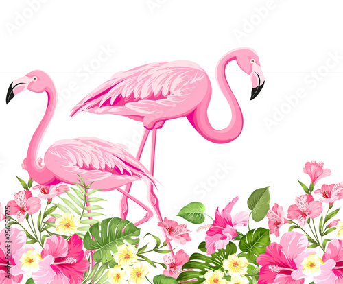 Dekoracja na wymiar  ilustracja-tropikalnych-ptakow-i-kwiatow-modny-letni-nadruk-do-pakowania-tkaniny-zaproszenia