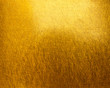 © detshana - gold