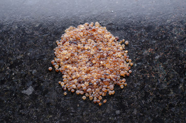 sea shells on the beach