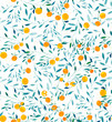 © Iisa - Watercolor Oranges Seamless Pattern