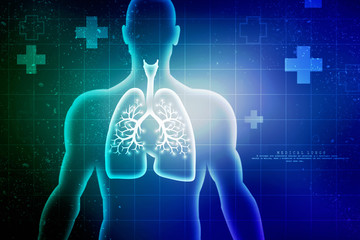 Healthy Human Lungs 2d illustration