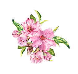 Wall Mural - Pink spring flowers. Springtime blossom, cherry, apple, sakura branch. Watercolor