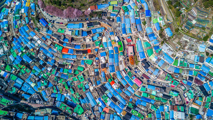 Wall Mural - Gamcheon Culture Village, Busan, South Korea, Aerial top view Gamcheon Culture Village.