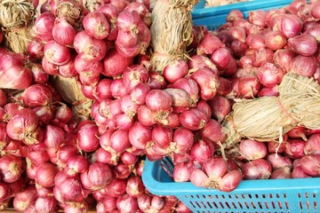 Onions and shallots for cooking at market