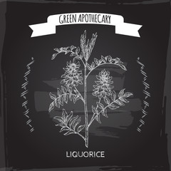 Sticker - Glycyrrhiza glabra aka liquorice sketch on black. Green apothecary series.