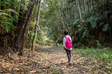 Canvas Print - traveling woman walk in forest