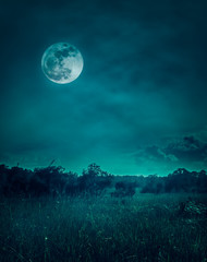 Wall Mural - landscape of night sky with clouds.beautiful bright full moon