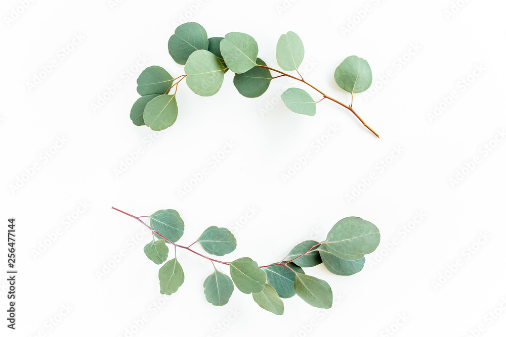 Wreath frame made of branches eucalyptus and leaves isolated on white background. lay flat, top view - obrazy, fototapety, plakaty 