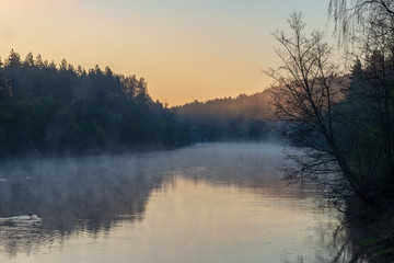  beautiful misty morning on the natural forest river Gauja in Latvia