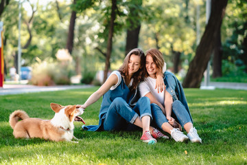 Wall Mural - Two female friend in the park play with little dog