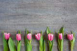 Fototapeta Tulipany - Różowe tulipany na szarym tle