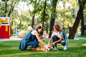 Wall Mural - Two female friend in the park play with little dog