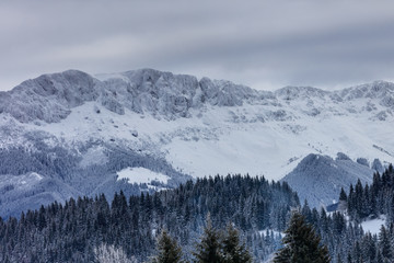 Wall Mural - Bucegi Mountains Romania