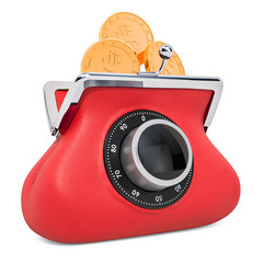 Poster - purse with safe dial padlock, protect concept. 3d rendering