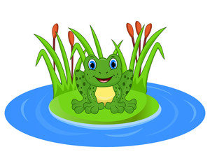 Cartoon frog on a leaf in the pond