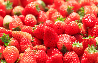 Wall Mural - Fresh strawberries, close-up shots