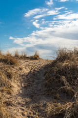 Path on the sand dune