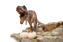 Statue Big Brown Dinosaur And Little Dinosaur In Egg On The Rock And White Background