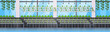 © mast3r - organic hydroponic green plants row cultivation farm modern greenhouse interior farming system concept horizontal banner