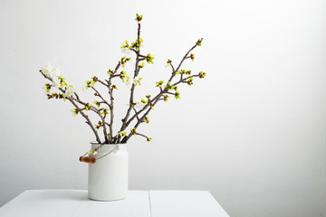 Wall Mural - cherry flower blossom branch in old enamel milk canister at white wooden table, bright wall, home decoration springtime