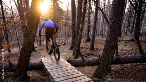 Fotomural Mountainbiker rides in autumn forest