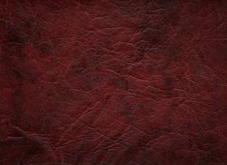 Sticker - An image of a nice leather background. Cowhide texture.