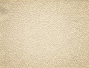 Sticker - An image of a nice leather background. Cowhide texture.