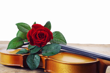 Wall Mural - Violin and red rose. Copy space