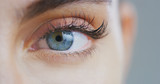 Fototapeta  - Macro close up of beautiful female blue eye with perfect natural makeup looking  in camera.