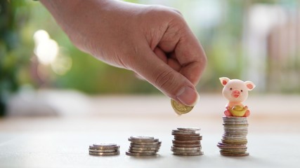 The pig model sits on gold that's on the top of the tallest town coin and the man want to put coin in his hand on the towel coin for saving money in future use