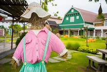 Well Dressed Scare Crow With Shirt And Hats In Farm With Background Of Houses And Barns