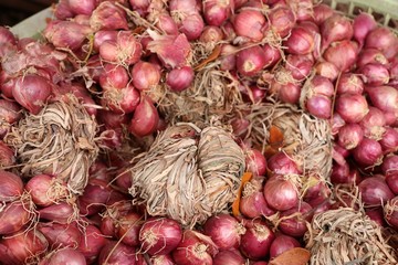 Wall Mural - Shallots at the market