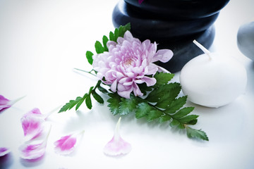 The flower and green leaf put beside white candle,the aromatic background