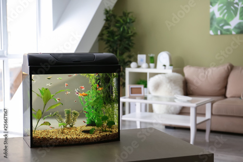 Fotomural Beautiful aquarium on table in room