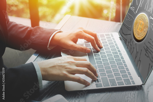 Bitcoin On Computer Screen For Online Investment And Getting Rich - 