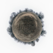 Spherical Panorama Of A Drab, Gloomy Field With Dry Grass, Surrounded By Leafless Trees In Heavy Fog; Concept Of A Sad, Desolate Planet