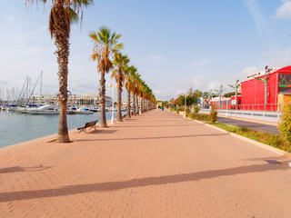 Canvas Print - Beautiful promenade in Alicante. View of palm trees and port. Spain.