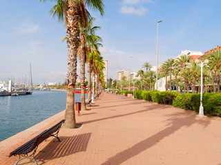 Canvas Print - Beautiful promenade in Alicante. View of palm trees and port. Spain.