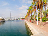 Fototapeta Sypialnia - Beautiful promenade in Alicante. View of palm trees and port. Spain.