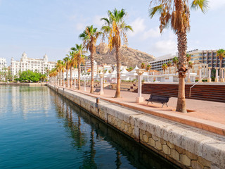 Canvas Print - Beautiful promenade in Alicante. View of palm trees and port. Spain.