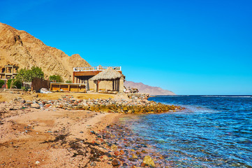 Canvas Print - Seashoe in Dahab, Sinai, Egypt