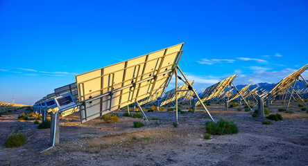 Wall Mural - Beveled solar photovoltaic panel back under the setting sun