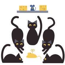 Black Cats And Mice