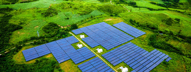 Solar photovoltaic panel with aerial green vegetation base