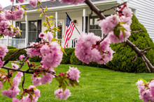Pink Cherry Blossoms American Flag And White Two Story Colonial Home With Green Yard