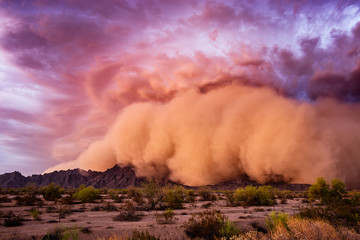 Wall Mural - haboob dust storm in the arizona desert.